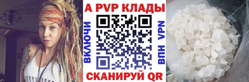 A PVP СК КРИС  закладка  Судак 