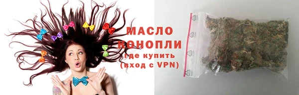 индика Богородицк