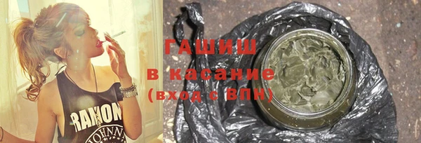 индика Богородицк